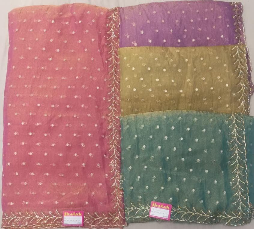 Jhalak Multi-Panel Embroidered Saree